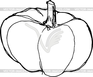 Sketch of ripe pumpkin - vector clip art