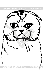 Sketch beautiful cat muzzle - vector clipart