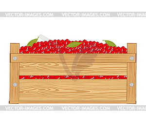 Box with red berry - vector clip art