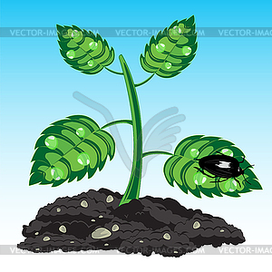 Seedling of plant - vector clipart