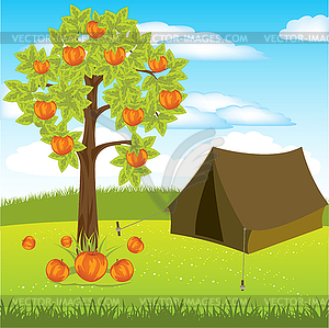 Tent under aple tree - vector clipart