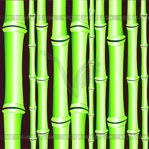 Background of bamboo - vector clipart