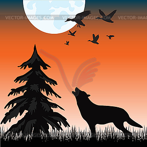 Wolf in wood - vector image