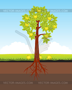 Aple tree with horse - vector clip art