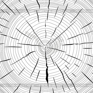 Tree rings saw cut tree trunk background.  - vector clip art