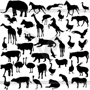 Набор силуэты животных и птиц в коллекции зоопарка - векторное изображение клипарта