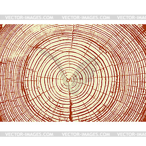 Tree rings saw cut tree trunk background.  - vector image