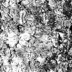 Bark of birch in cracks texture.  - vector image