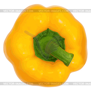 Yellow sweet bell pepper . i - vector image