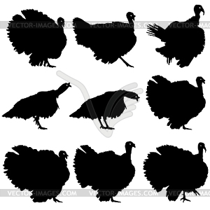 Silhouettes of turkeys.  - vector clipart