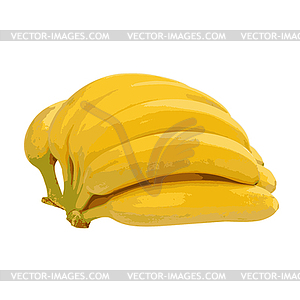 Bunch of bananas . illustrati - vector clipart