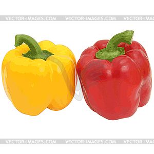 Red and yellow sweet bell pepper  - color vector clipart