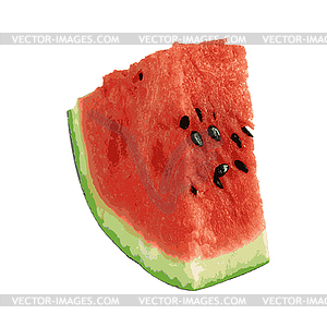 Sliced ripe watermelon . illu - vector image