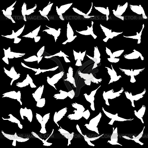 Concept of love or peace. Set silhouettes doves - vector EPS clipart