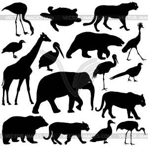 Silhouette elephant tiger bear giraffe flamingo - vector clipart