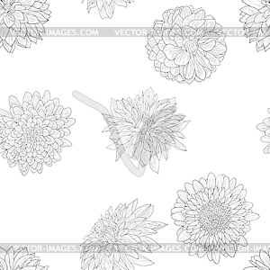 Beautiful monochrome sketch, black and white - vector image