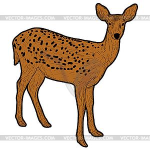 Silhouette of deer - vector clipart