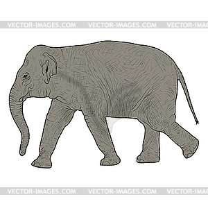 Силуэт большого африканского слона - клипарт в векторном формате