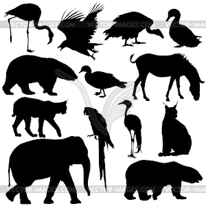 Silhouette elephant tiger bear giraffe flamingo - vector clip art