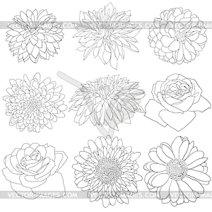 Beautiful monochrome sketch, black and white flower - vector clipart