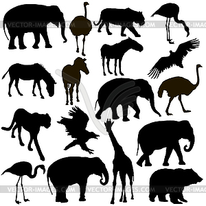 Silhouette elephant tiger bear giraffe flamingo - vector clipart