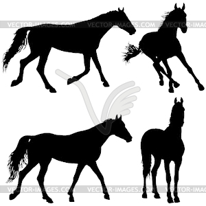 Set animal silhouette of black mustang horse - vector clip art