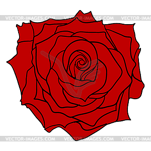 Beautiful sketch red of rose flower - vector image