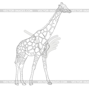 Sketch of high African giraffe - vector clipart