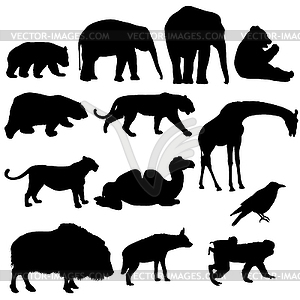 Silhouette elephant tiger bear giraffe flamingo - vector image