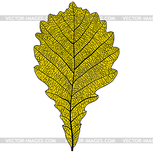 Sketches silhouettes leaves - vector clipart / vector image