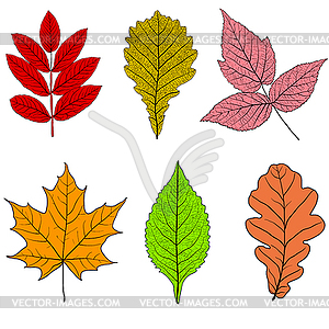 Набор эскизов силуэтов листьев - иллюстрация в векторном формате