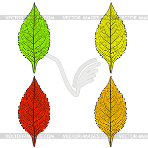 Set sketches silhouettes leaves - vector clipart