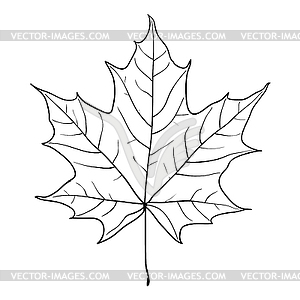 Sketches silhouettes leaves - white & black vector clipart