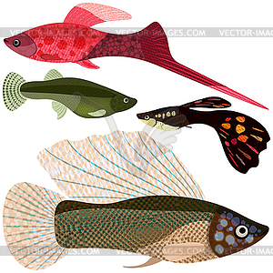 Set viviparous fishes aquarium - vector image