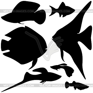 Collection aquarium fishes - vector clip art