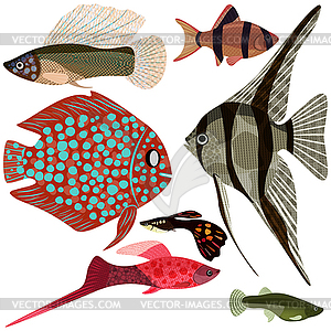 Коллекция аквариумные рыбки - векторный клипарт Royalty-Free