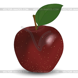 Red apple - vector clipart