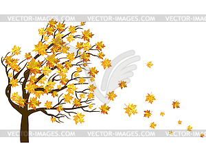 Autumn maple leaves background - vector clip art