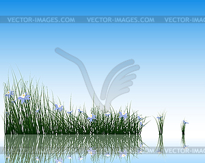 Flower with grass on water surface - vector clipart