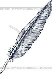 Гусиное перо в чернильнице - изображение векторного клипарта