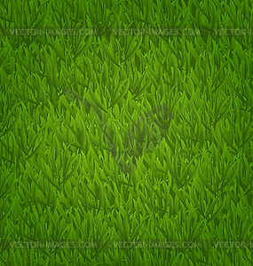 Green grass field, nature background - vector clipart