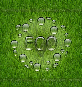 Eco friendly background with water drops on fresh - vector EPS clipart