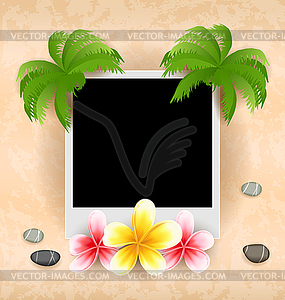 Empty photo frame with palm, flowers frangipani, se - vector image