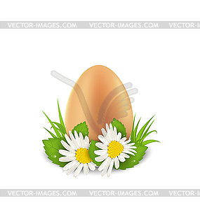 Traditional Easter egg with flowers camomiles and - vector image