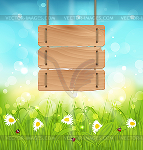 Spring morning, meadow and camomiles with wooden - vector image