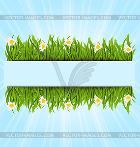 Spring postcard with grass field and flowers - vector image