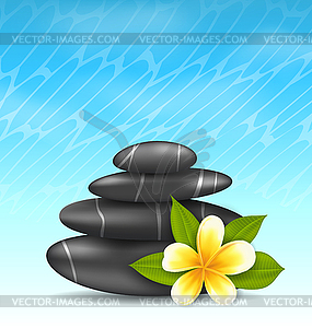 Natural background with frangipani flower (plumeria - vector clipart