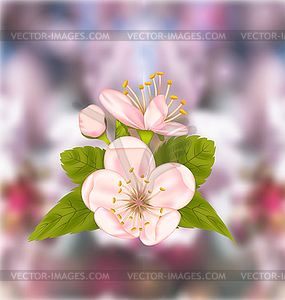 Cherry Blossom, Blur Nature Background - vector clipart