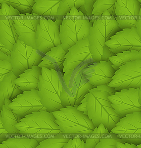 Seamless stylish pattern with green leaves - vector clipart / vector image