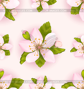 Seamless Pattern with Cherry Flowers, Repeating - color vector clipart